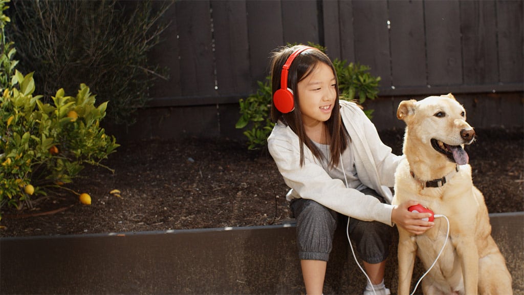 Elektronisches Stethoskop der Marke Heartbeats