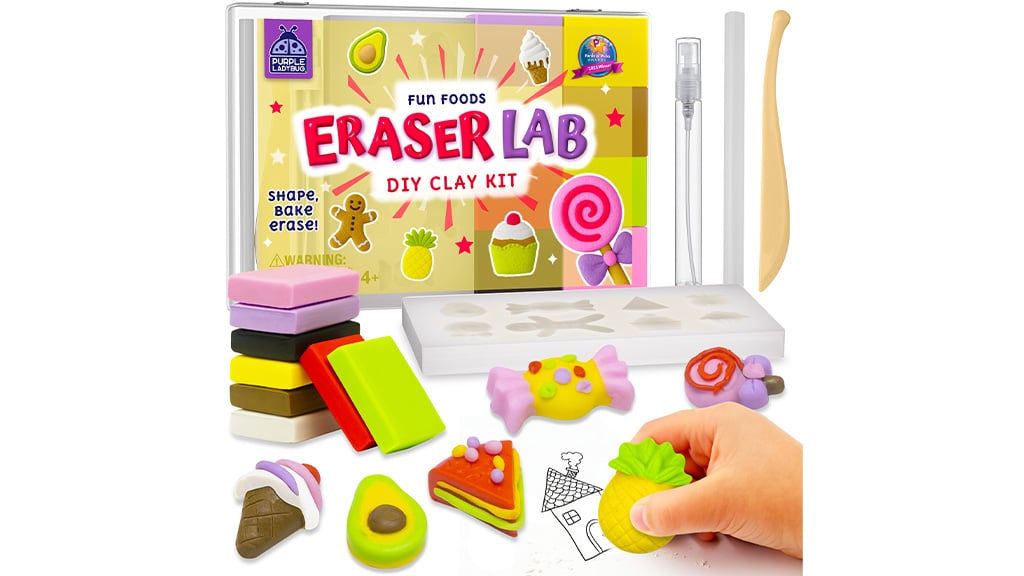 Purple Ladybug DIY Knetset