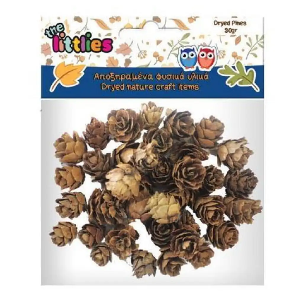 Getrockneter Kiefernzapfen 20g