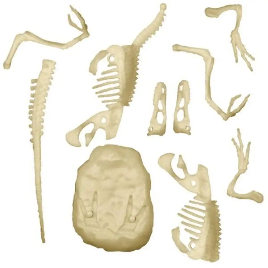 Science&Play: Archeofun Leuchtender Velociraptor Ausgrabungsset - Clementoni kép 3