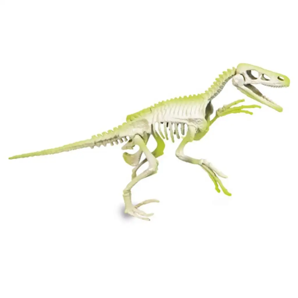 Science&Play: Archeofun Leuchtender Velociraptor Ausgrabungsset - Clementoni kép 4