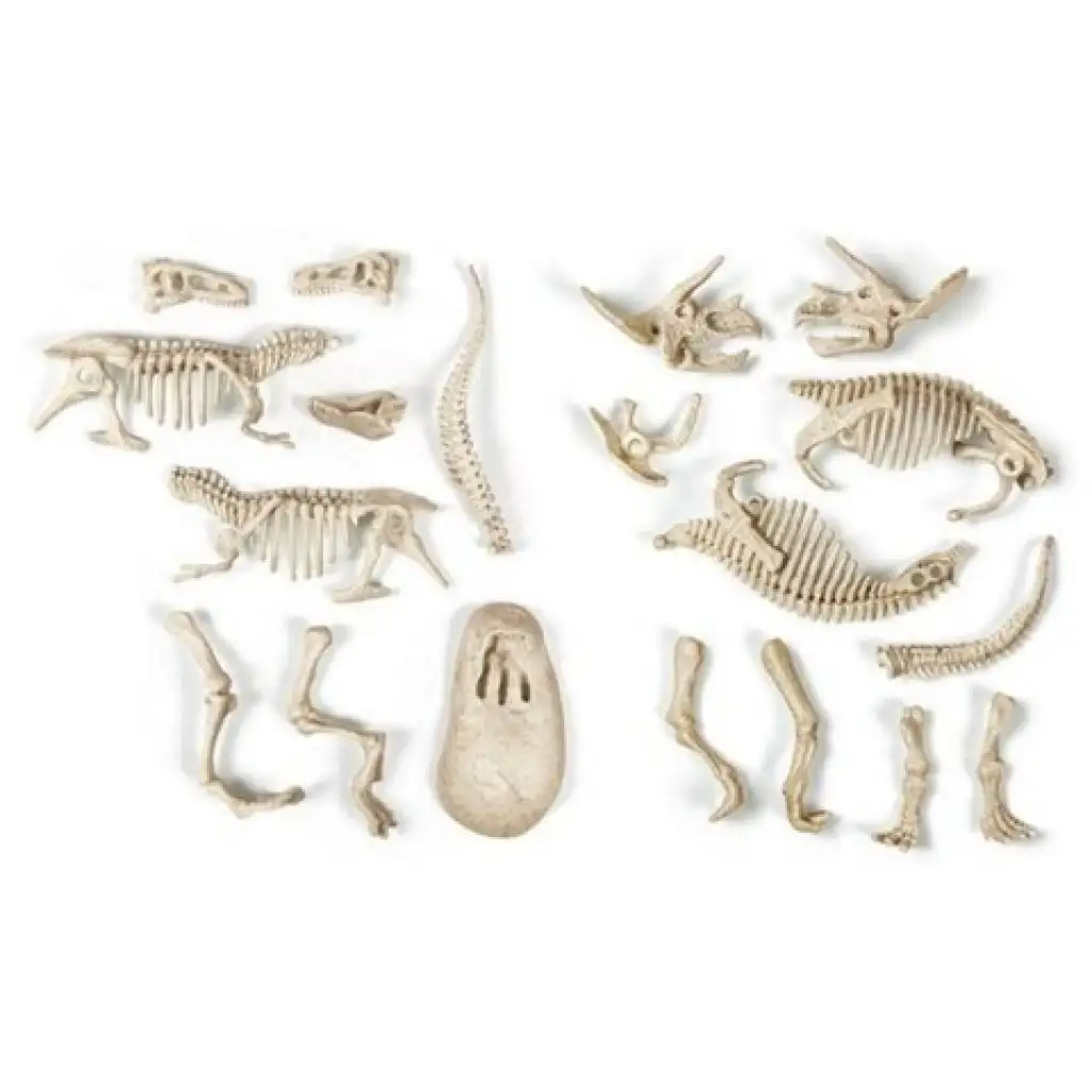 Science&Play: Archeofun Leuchtender T-rex und Triceratops Archäologie-Set - Clementoni kép 3