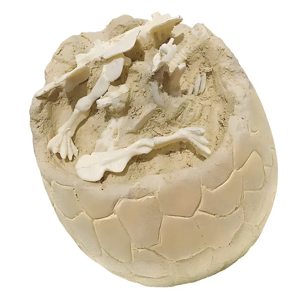 Dino Explorer: Archäologische Überraschung Dinosaurier-Ei in verschiedenen Varianten kép 2