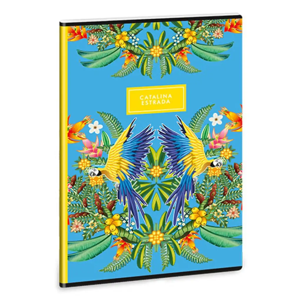 Ars Una: Catalina Estrada Araratiti A/4 extra geheftetes glattes Heft