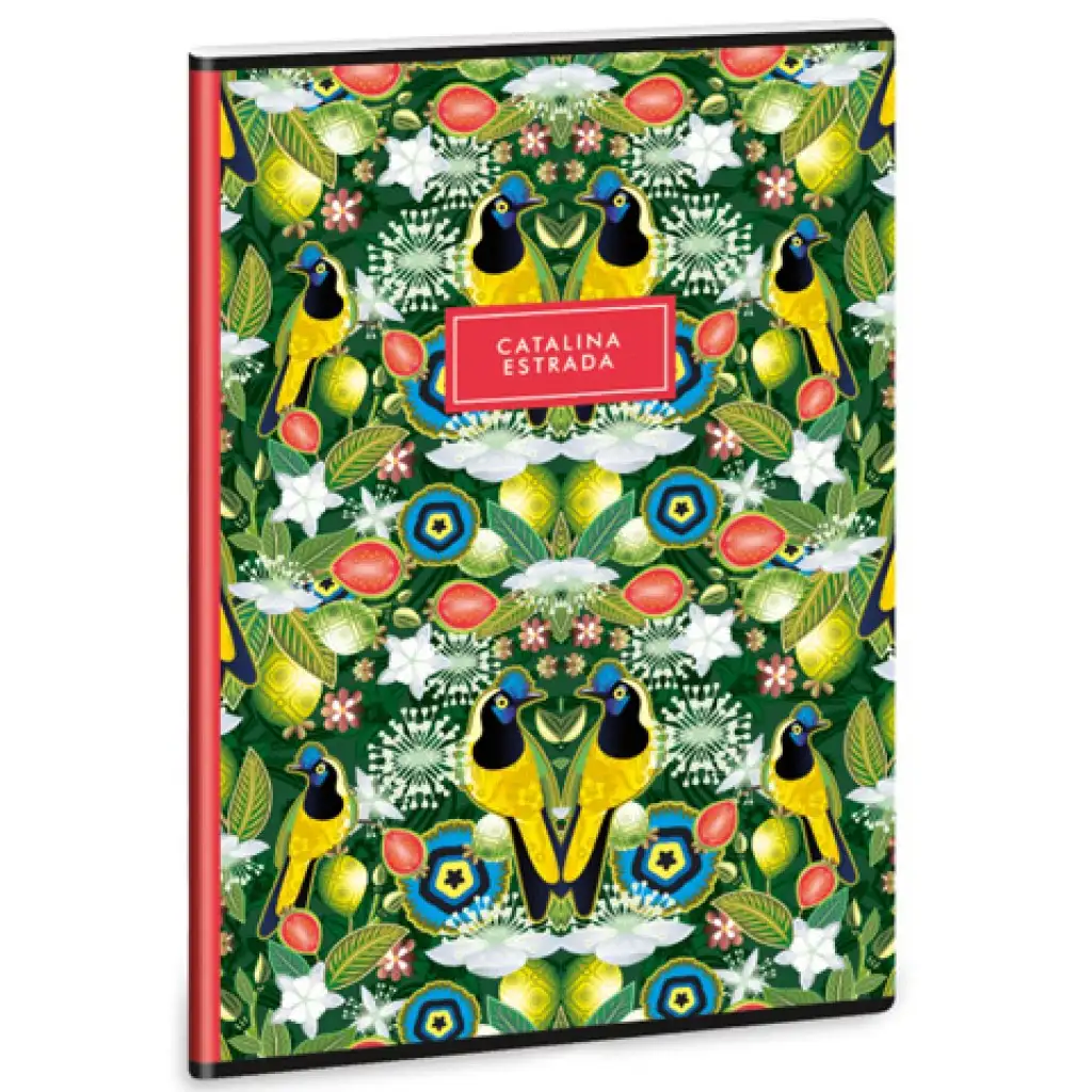 Ars Una: Catalina Estrada Carriqui extra Ringbuch A/4 liniert für die 4. Klasse