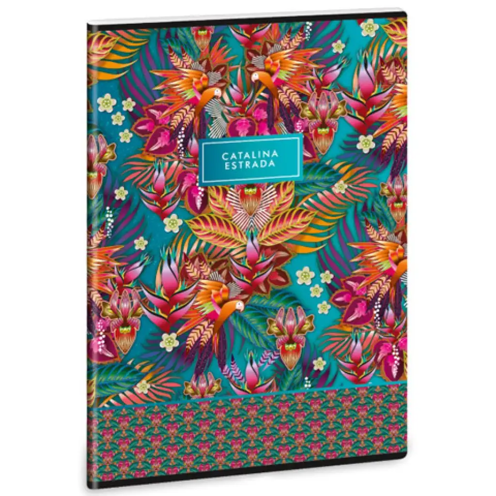 Ars Una: Catalina Estrada Guaviare-Blue extra Heftklammer A/4 liniert für die 4. Klasse