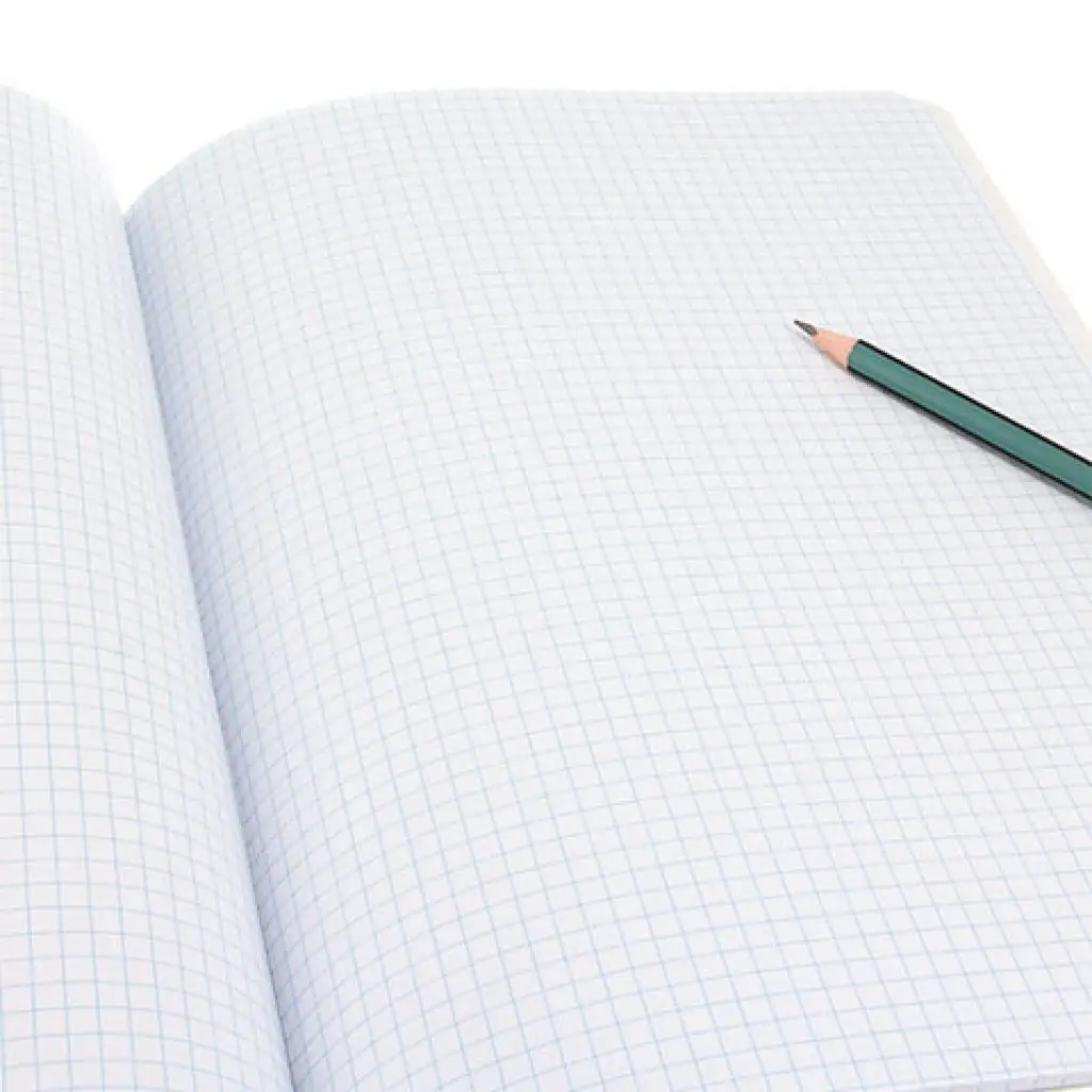 Ars Una: Catalina Estrada Parrot extra geheftetes kariertes Heft 40 Blatt A/4 kép 2