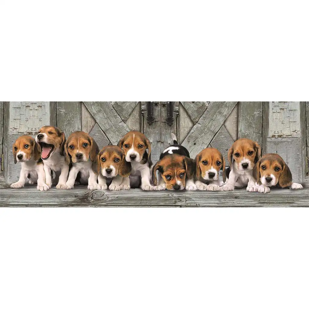 Beagle-Hündchen 1000-teilige Panorama-Puzzle 98x33cm - Clementoni kép 2
