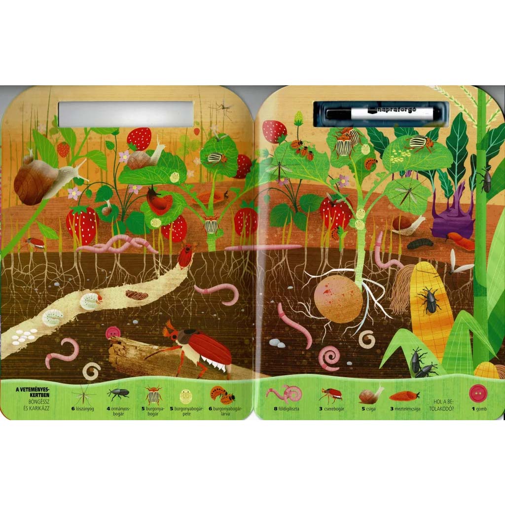 Blättere und kreise ein – Käfer kép 2