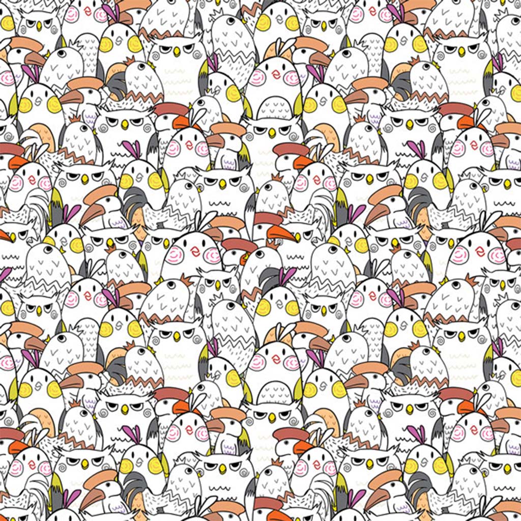 Cardex: Geschenkpapier mit fröhlichen Vogelmotiven, 100x70 cm