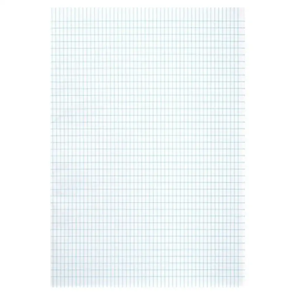 Geraster französisches kariertes Papier A3-Größe 20 Blatt