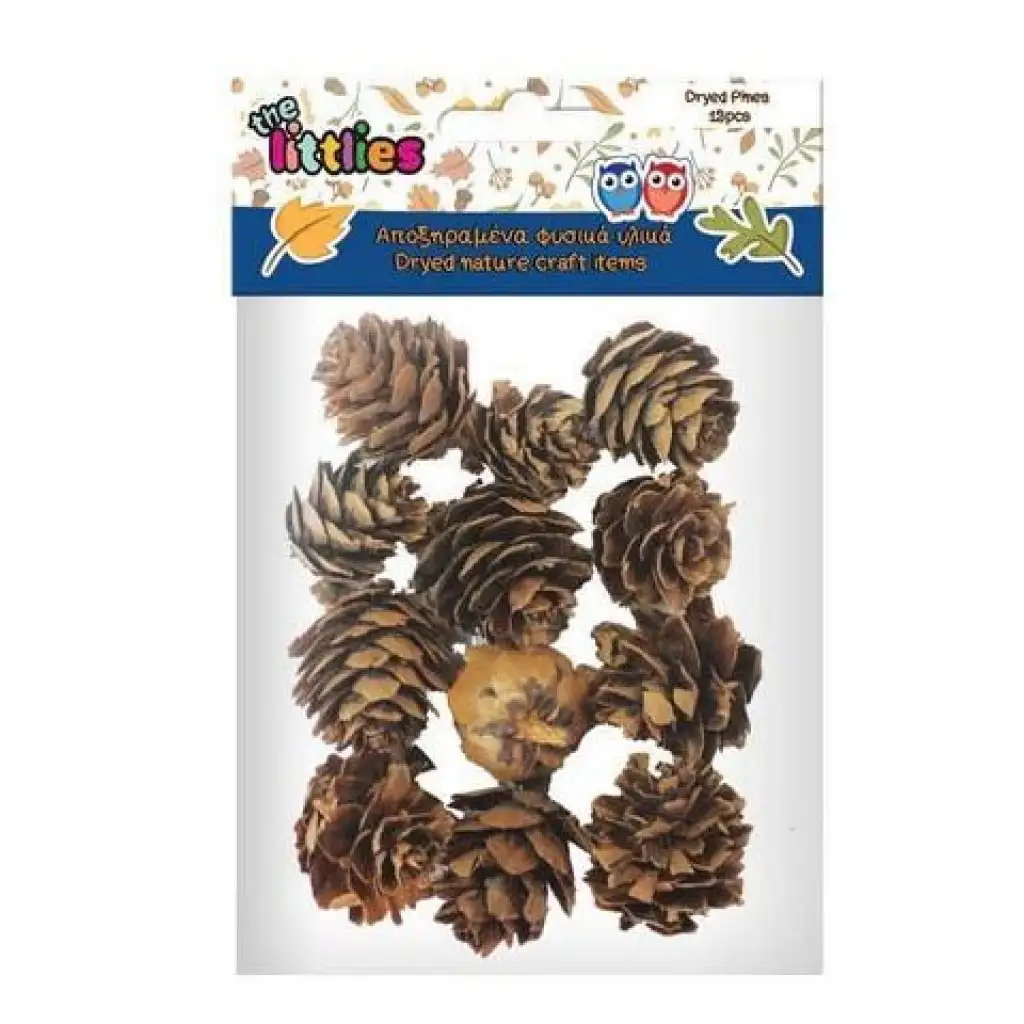 Getrocknete Kiefernzapfen 12er-Pack