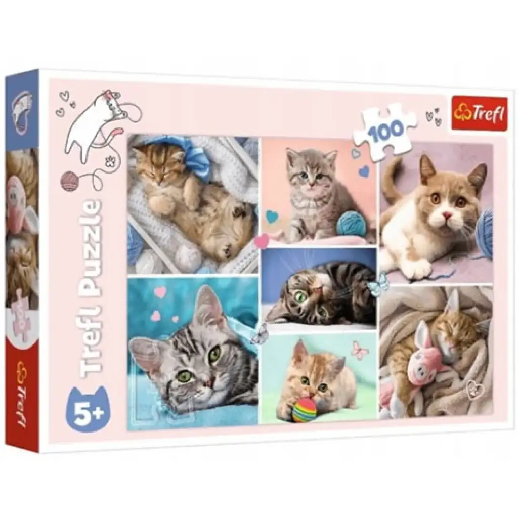 Katzen 100-teiliges Puzzle - Trefl