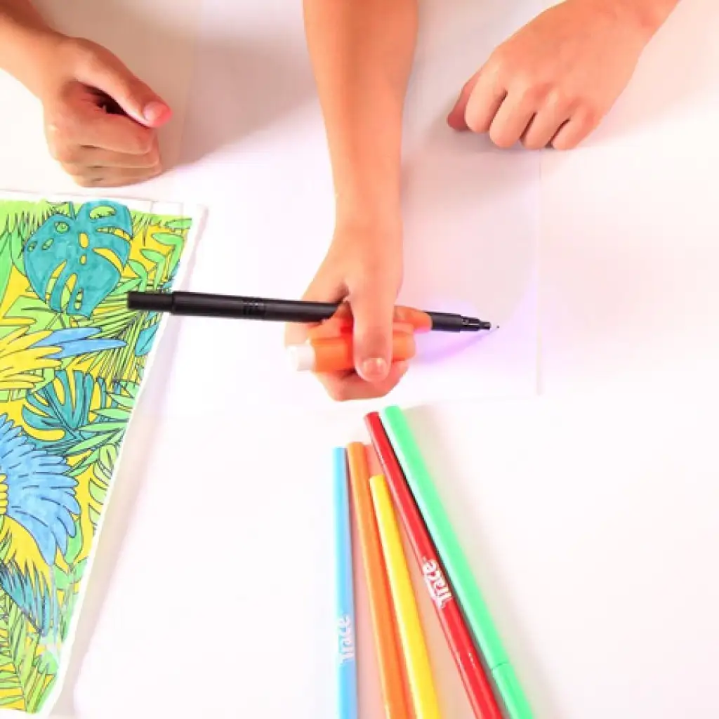 Magic Trace: Zoo Starterset kép 3