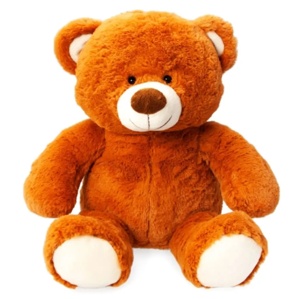 MärchenBär interaktiver Plüsch mit LED-Projektor