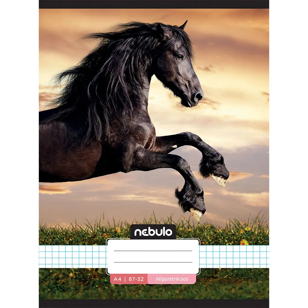 Nebulo: Geheftetes kariertes Heft - Pferd im Sonnenuntergang Muster 87-32 A/4