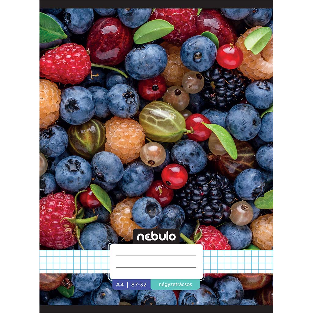 Nebulo: Geheftetes kariertes Heft mit Obstmotiv 87-32 A/4