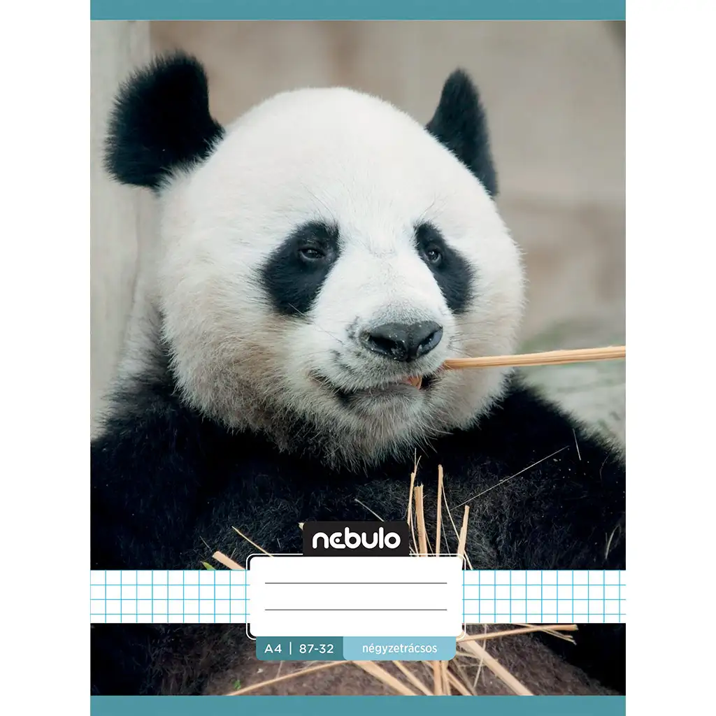 Nebulo: Geheftetes kariertes Heft mit Pandamuster 87-32 A/4