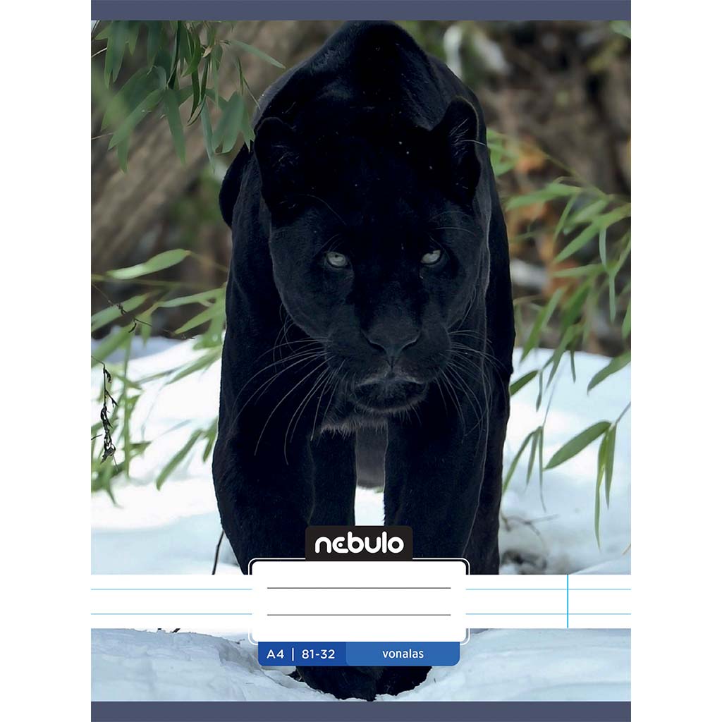 Nebulo: Geheftetes liniertes Heft mit Tieren - Schwarzer Panther - gemustertes Heft 81-32 A/4