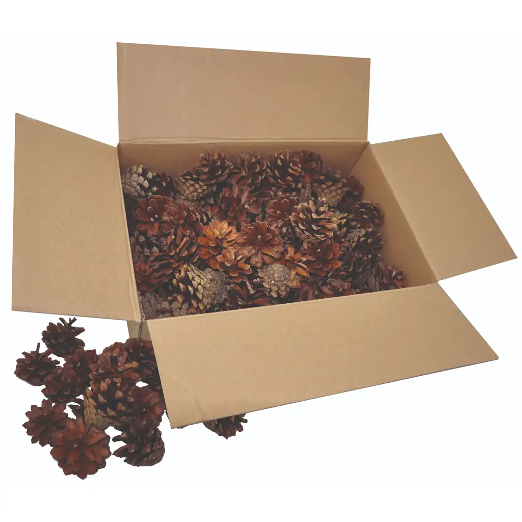 PlayBox: Kiefernzapfen-Set 125 Stück