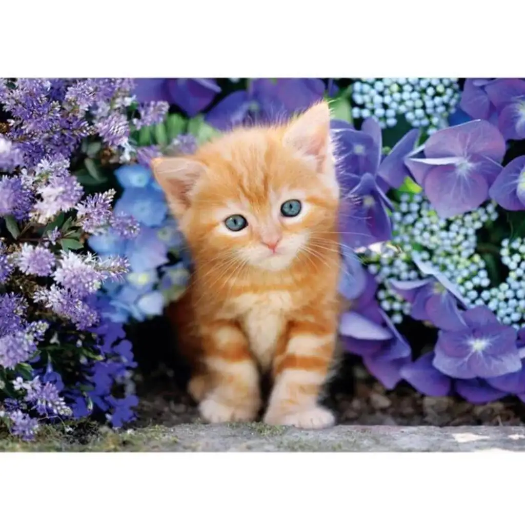 Rote Katze zwischen den Blumen 500-teiliges HQC Kompaktpuzzle - Clementoni kép 2
