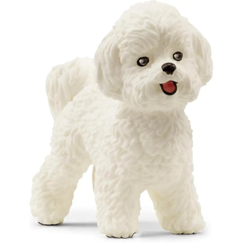 Schleich: Bichon Frisé Hundefigur (13963)