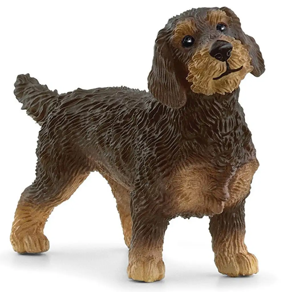 Schleich: Drahthaar-Dackel Figur (13972)