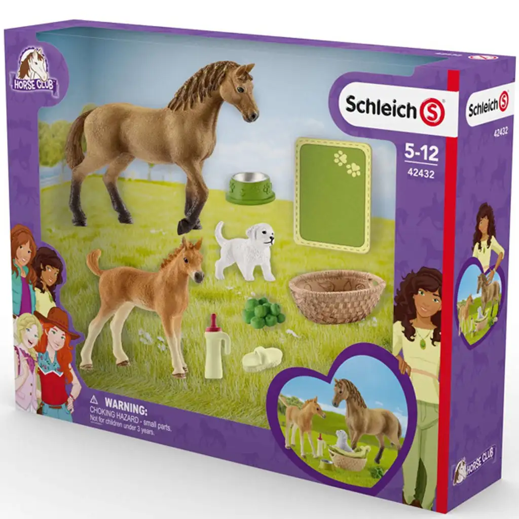 Schleich: Horse Club - Sarahs kleine Tierpflegeset (42432) kép 1