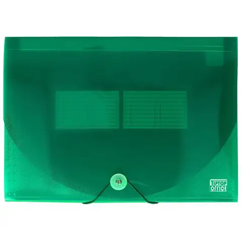 Spirit: Aktenmappe A4 12 Fächer transparent grün