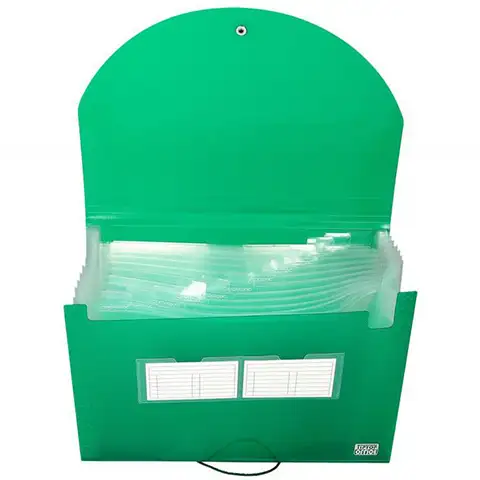 Spirit: Aktenmappe A4 12 Fächer transparent grün kép 2