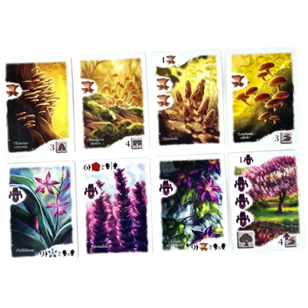 Traumgarten Brettspiel kép 4