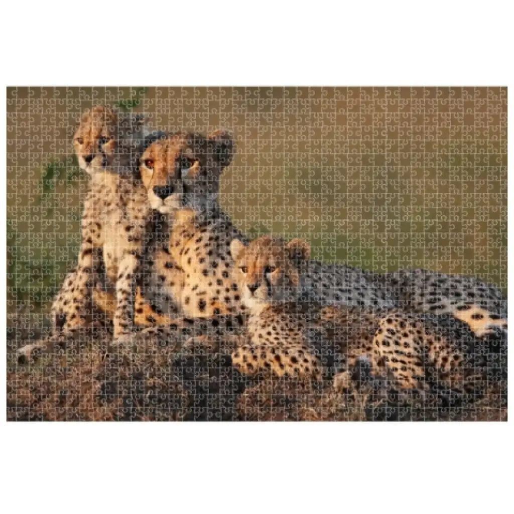 Animal Planet: Gepardenfamilie 1000-teiliges Puzzle kép 2