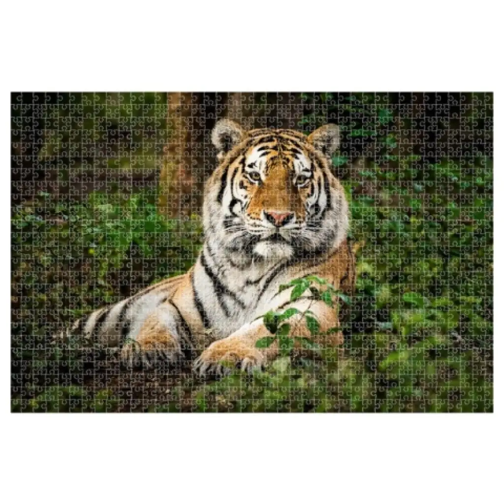 Animal Planet: Tiger 1000-teiliges Puzzle kép 2
