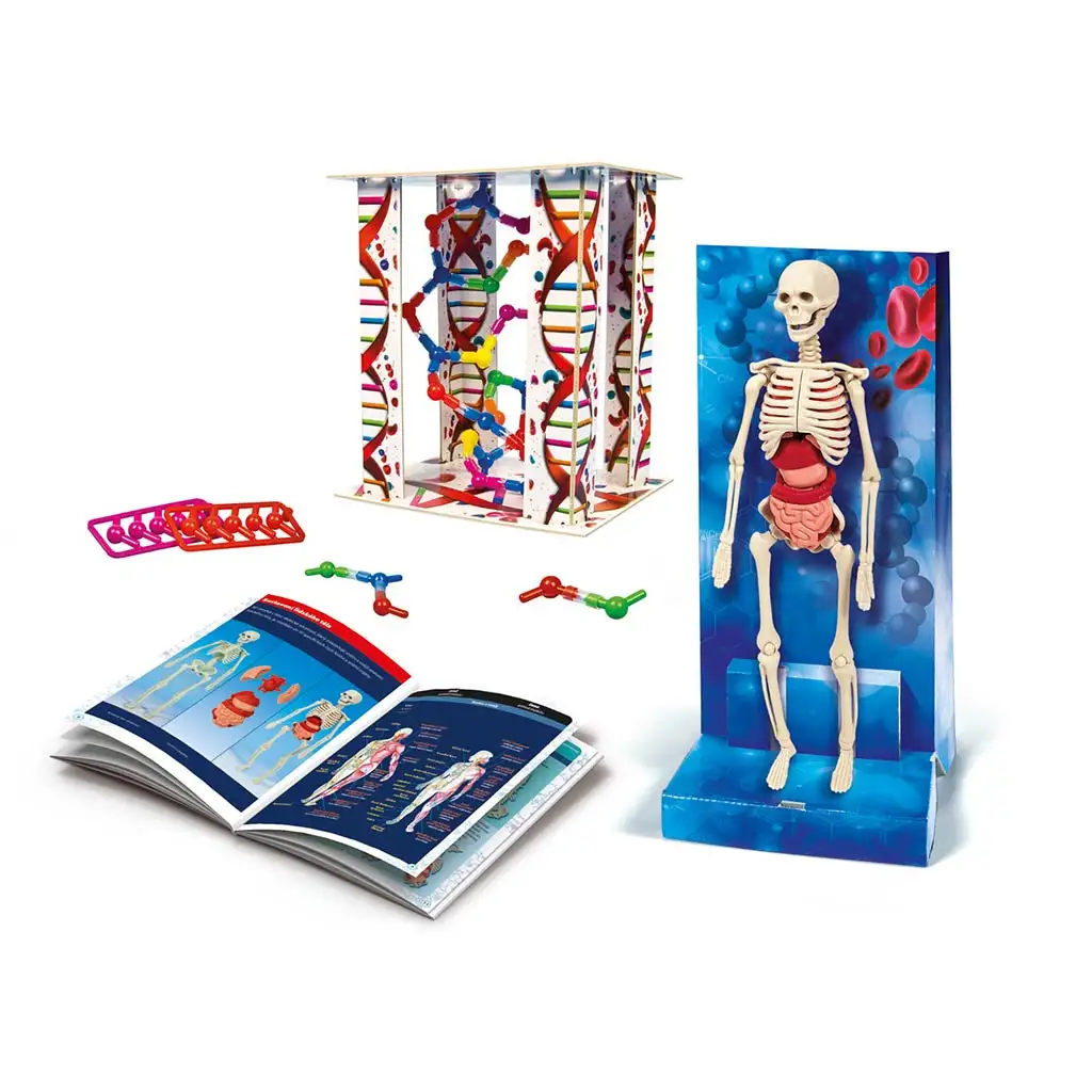 Das wissenschaftliche Spielset des menschlichen Körpers - Clementoni kép 2