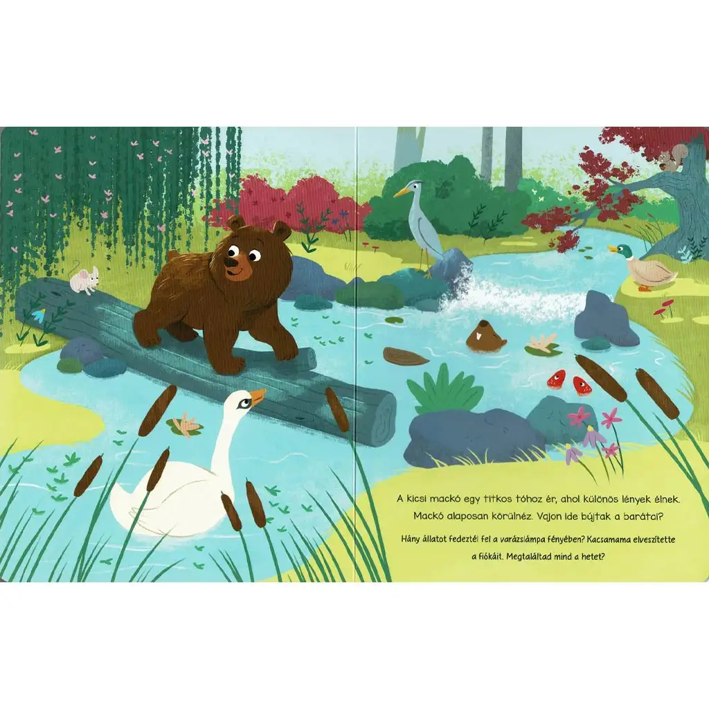 Zauberlampe - Das Märchenbuch der Waldbewohner kép 2