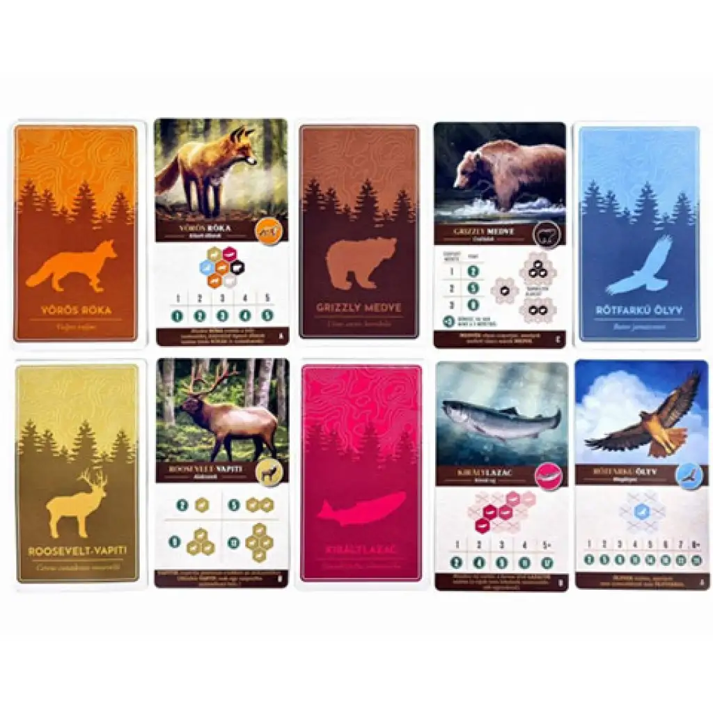 Cascadia Wildlife Brettspiel kép 5