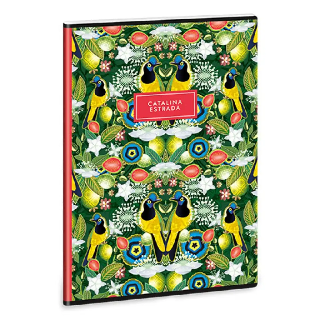 Ars Una: Catalina Estrada Carriqui A/4 extra geheftetes glattes Heft