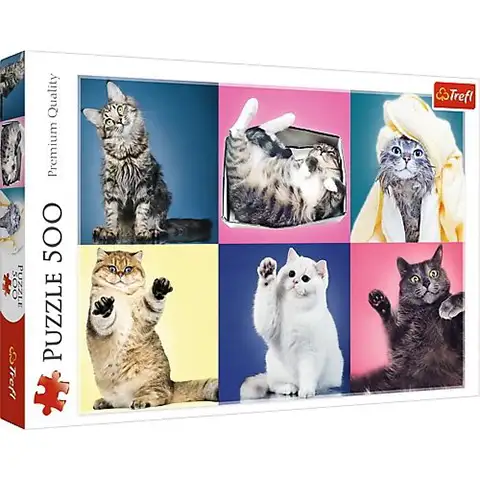 Katzen 500-teiliges Puzzle - Trefl