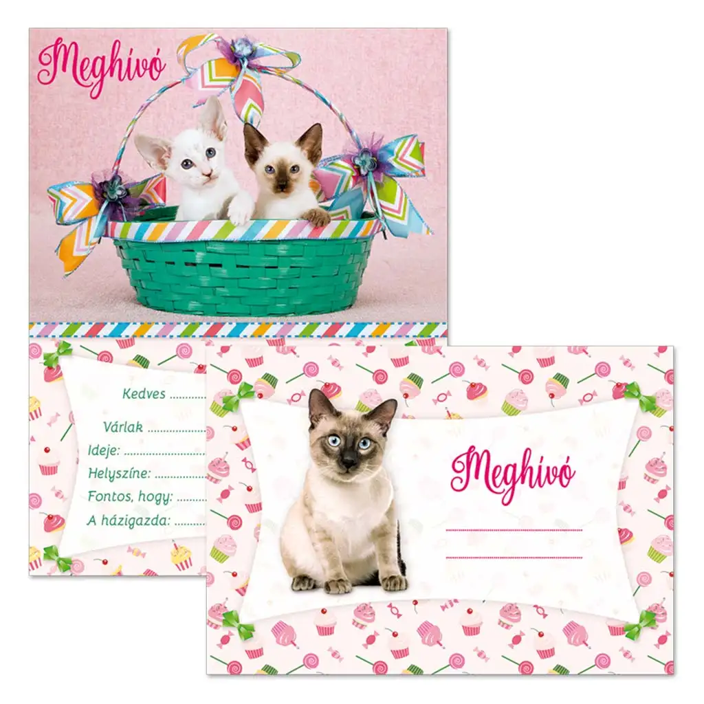 Ars Una: Partyeinladung mit Katze, mit Umschlag, 10 Stück