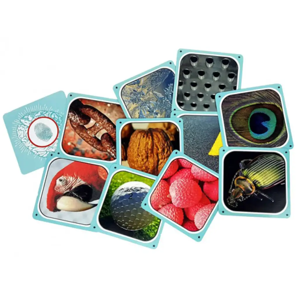 Cortex 2 IQ Party Gesellschaftsspiel kép 3