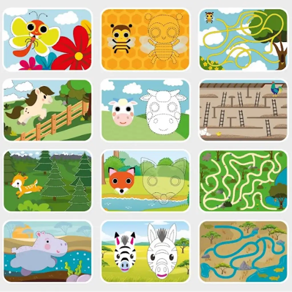 Entwicklungskarten mit abwischbarem Filzstift - Tiere kép 2