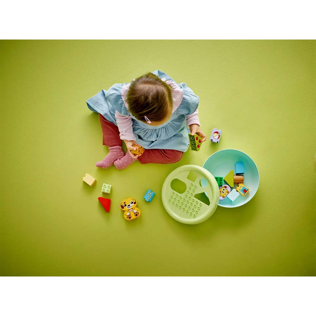 LEGO® DUPLO®: Formen sortieren: Hundehütte (10441) kép 7