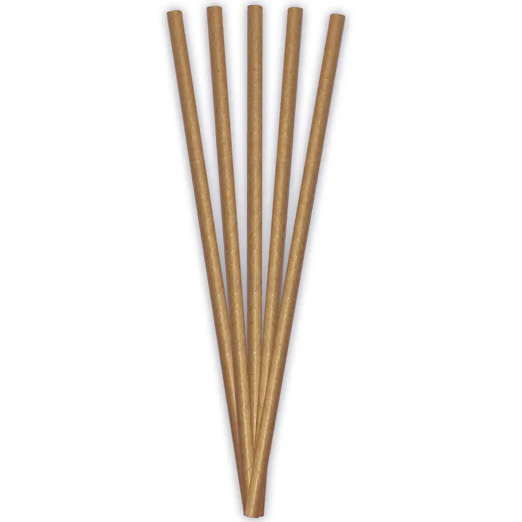 ECO Papierstrohhalm – 20 cm, 24er Set