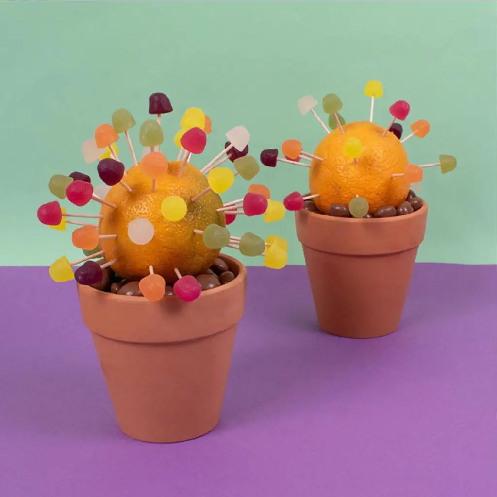 PlayBox: 300-teiliges Zahnstocher-Set kép 2