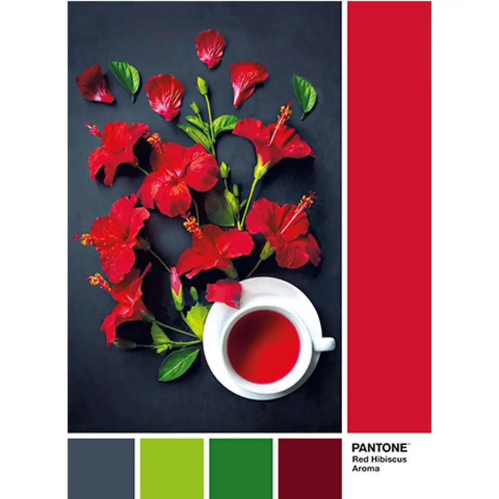 Pantone Hibiskus Tee Puzzle 1000 Teile - Clementoni kép 2