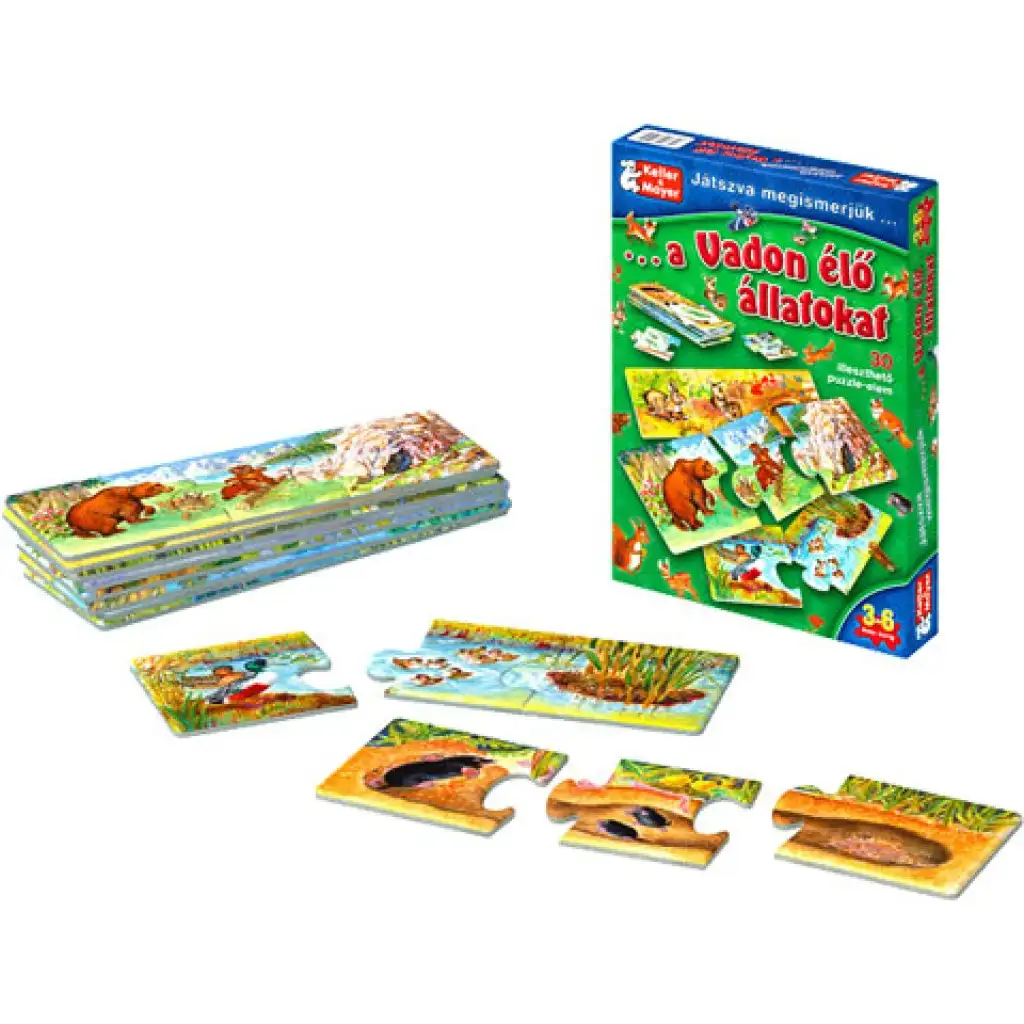 Wir lernen die Wildtiere durch ein Gesellschaftsspiel kennen. kép 2