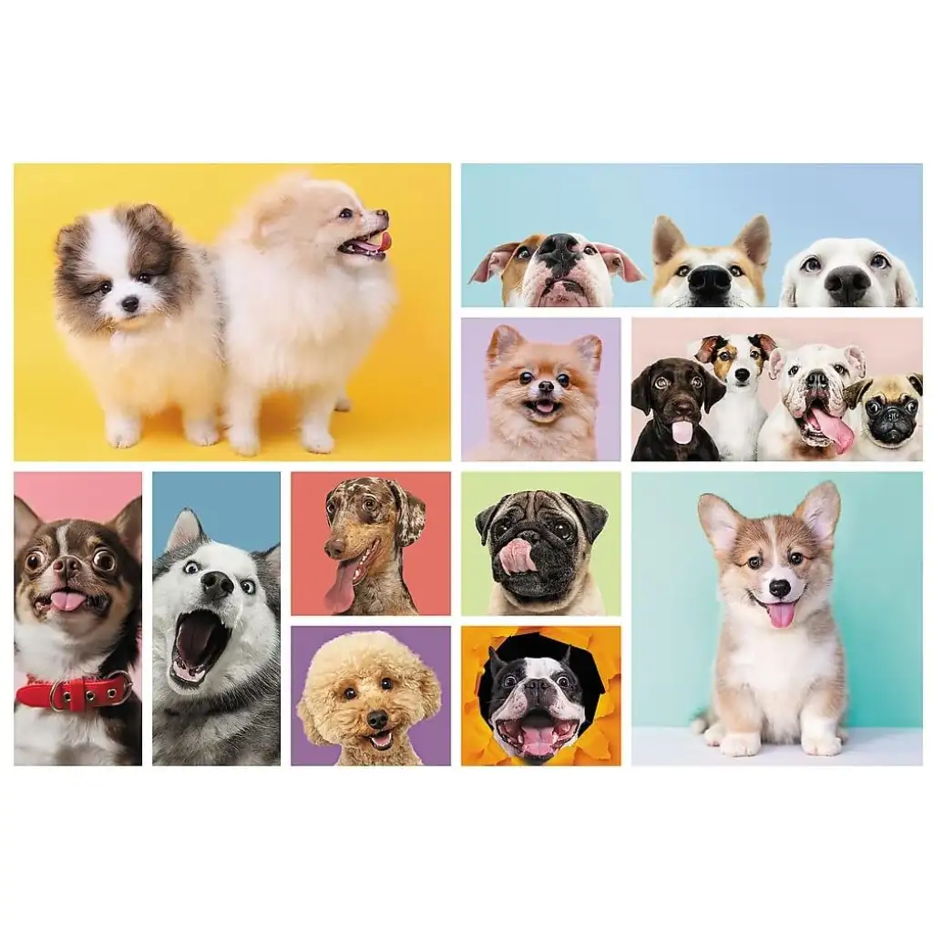 Hundefreundschaft 160-teiliges Puzzle - Trefl kép 2