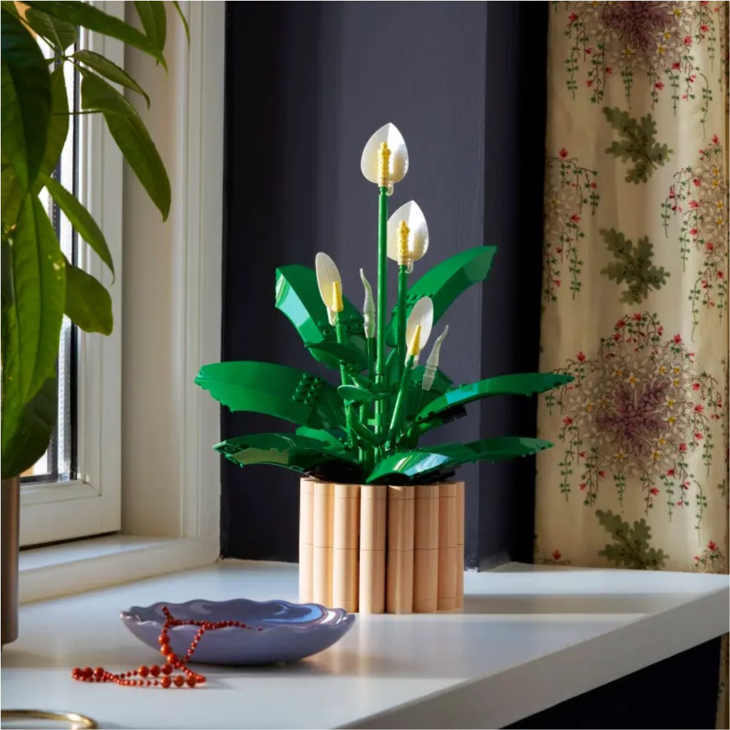 LEGO® Botanicals: Einblatt (11504) kép 3