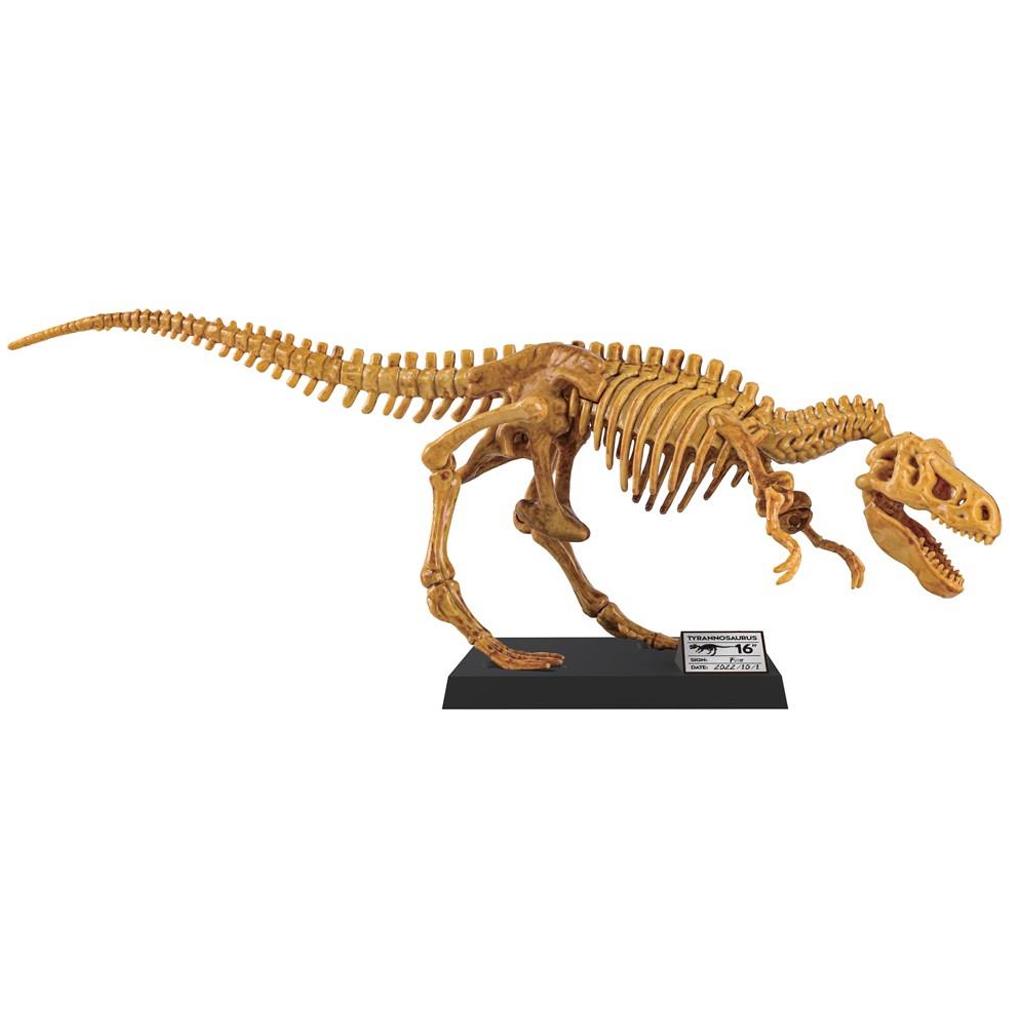 Luna: Riesiger T-Rex Archäologieset 40 cm kép 2