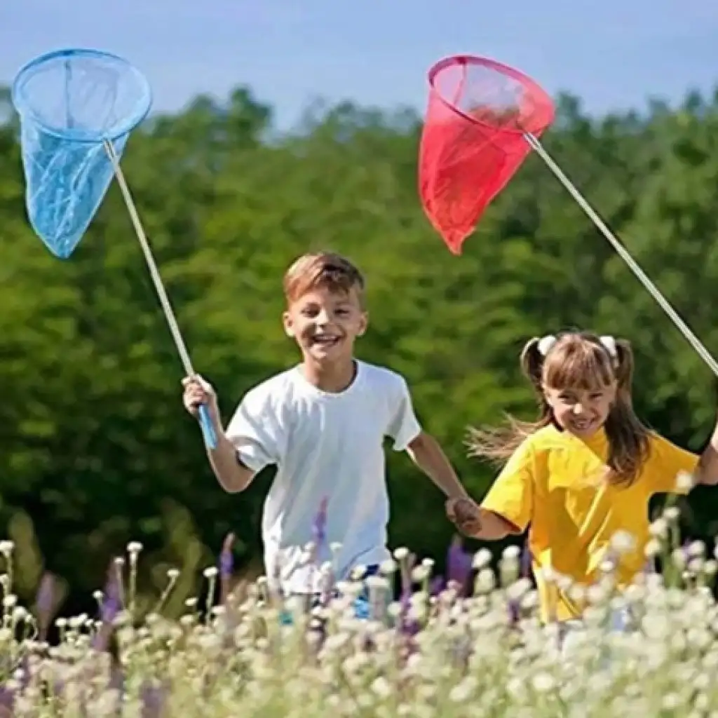 Universelles Teleskop-Schmetterlingsnetz 54 cm kép 3